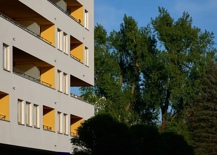 Z Tarasem Panorama 科沃布热格