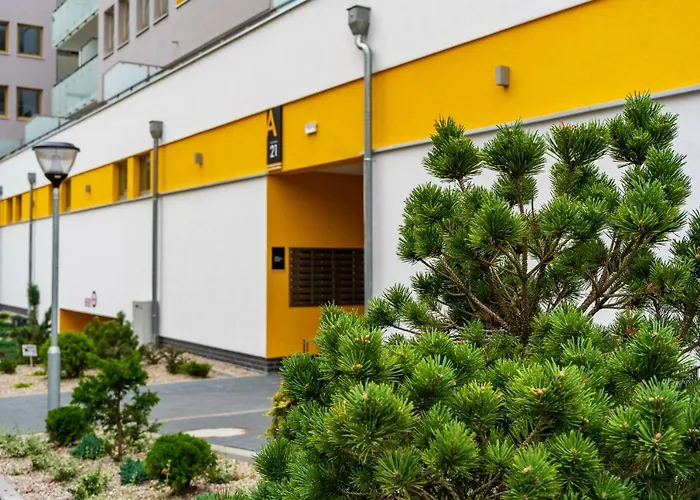 Z Tarasem Panorama * 科沃布热格